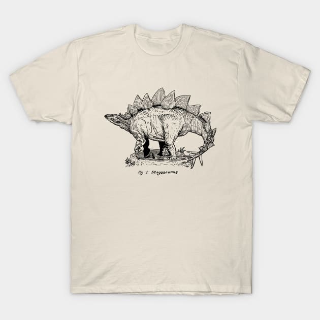 Figure One: Stegosaurus T-Shirt by Philip A. Buck